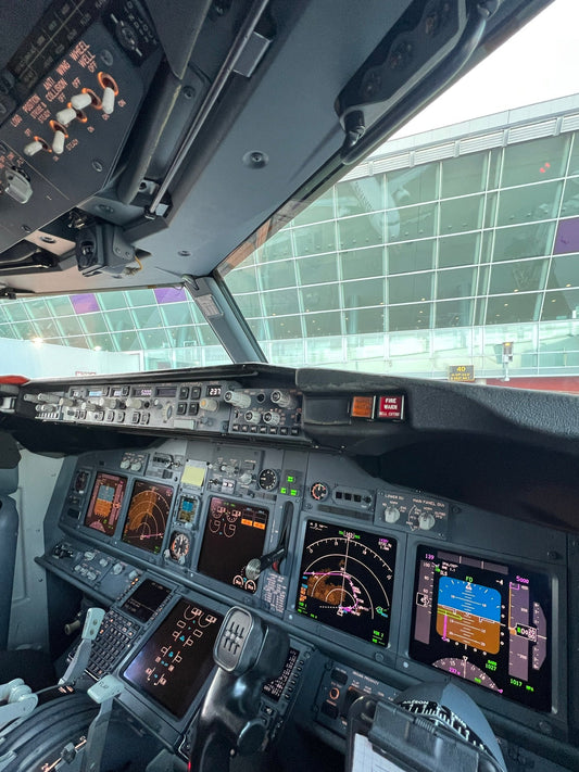 You Want to Become a Pilot? Here is How to Get Started